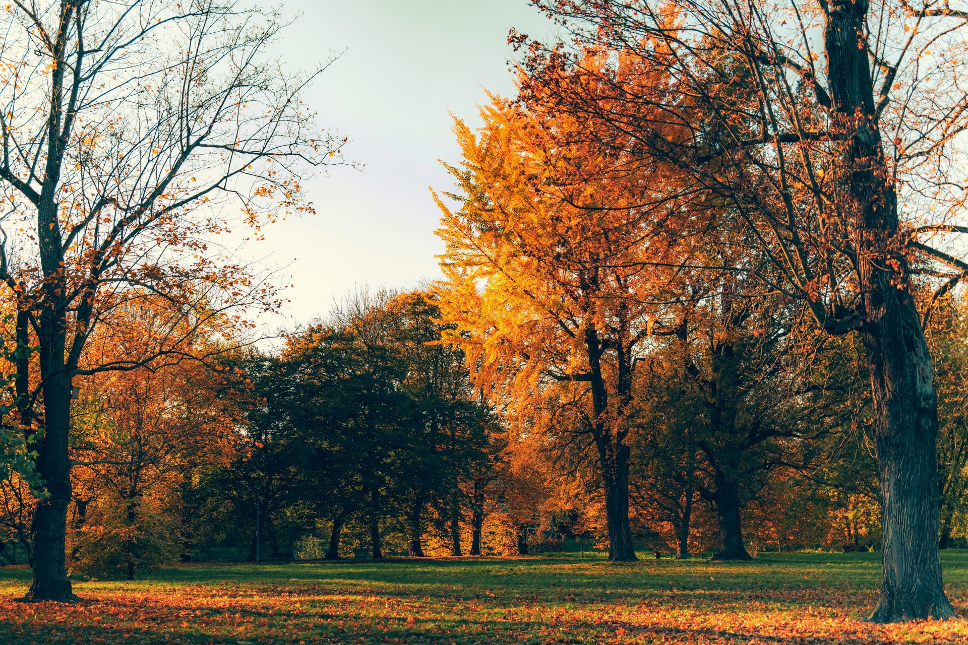 Der goldene Herbst bietet neue Möglichkeiten für erholsame Ausflüge.
