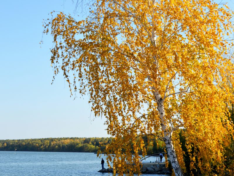 Herbstwanderungen am Wörthsee